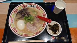 2022-07-29 11.31.10.JPG